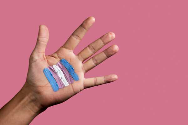 transgender flag in the palm of the hand with a pink background